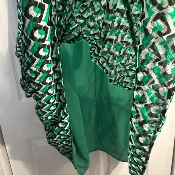 Heidi Print Long Sleeve Shift Dress Diane Von Furstenberg Size Large. Green. - Picture 12 of 16